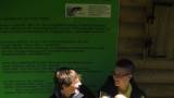 Bild 8 I.S.I.S. Fermo Solari