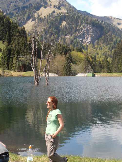 Bild 12